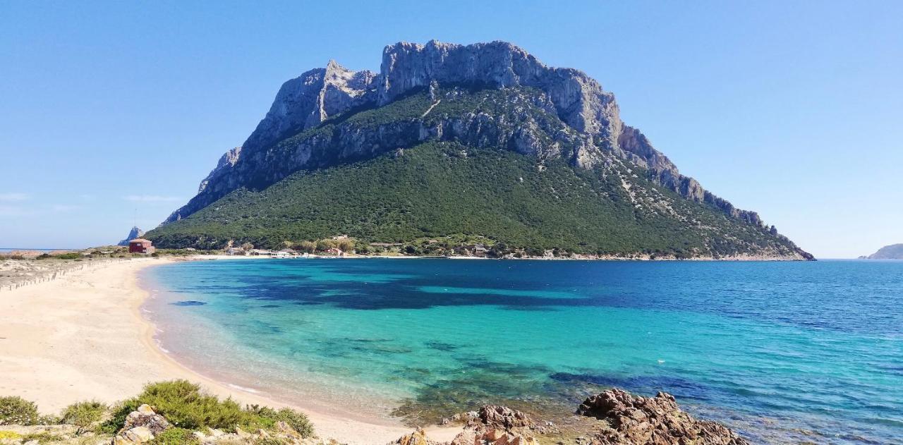 Iss Travel, Le Carrube Two Bedrooms Apartments With Air Conditioning San Teodoro  Exterior photo